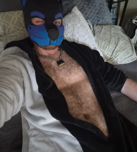 Bandit Pup