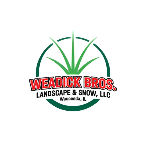 Weadick Bros Landscape and Snow