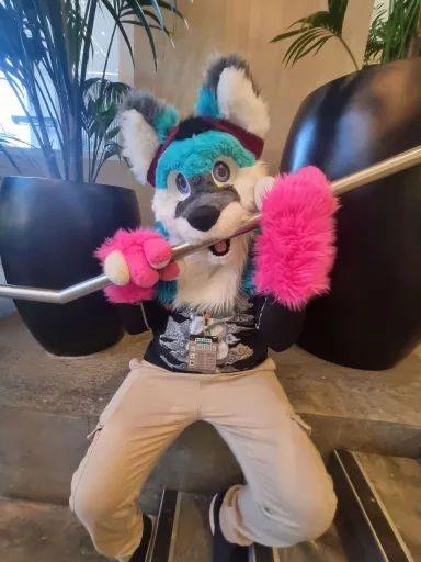 LexaTheServiceDog