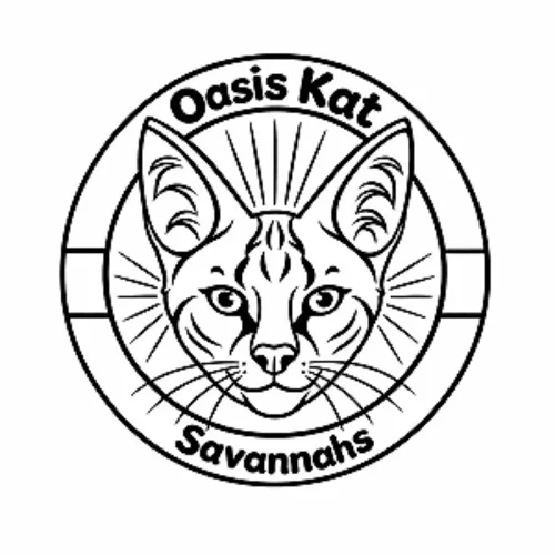 Oasis Kat