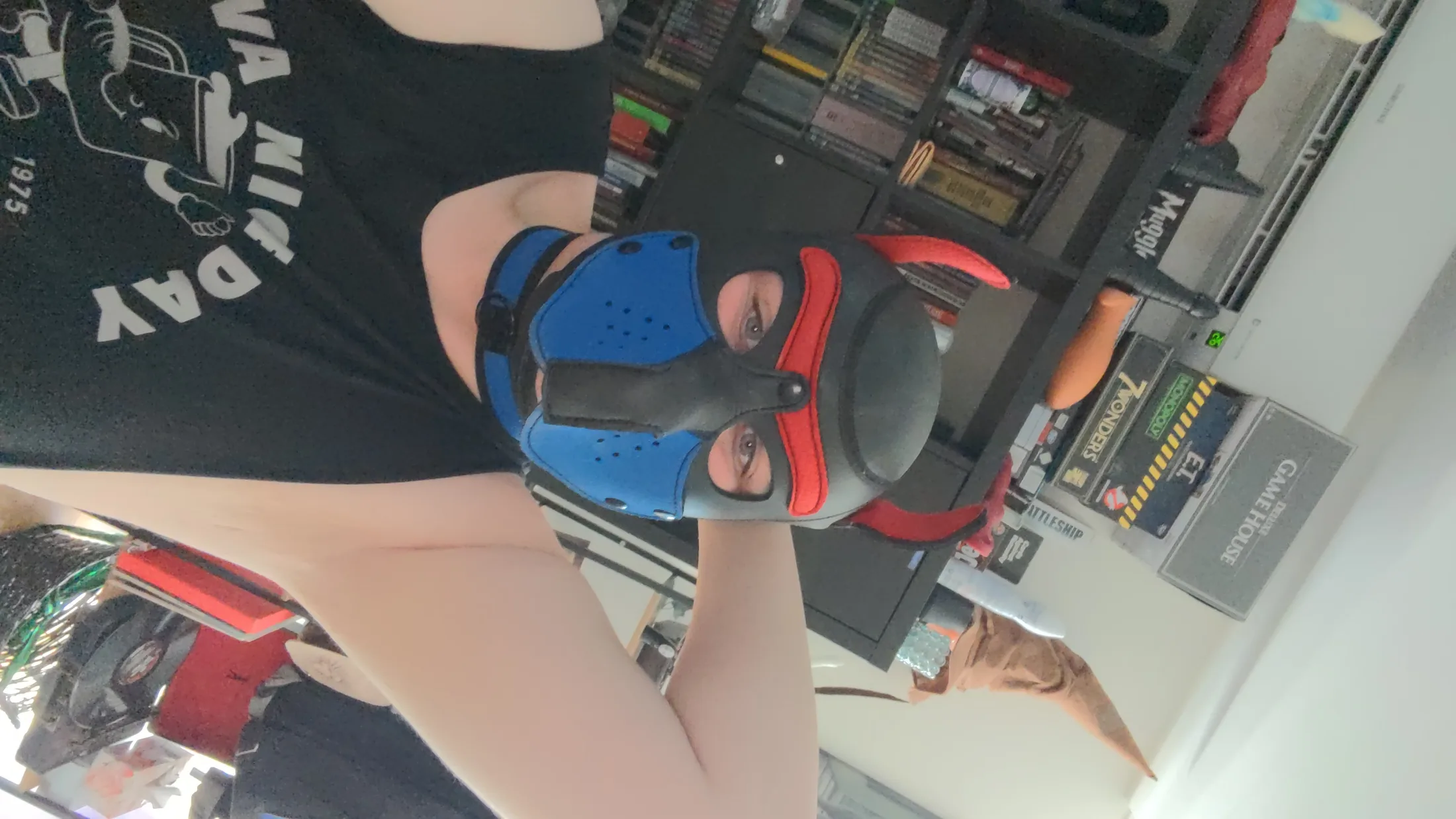 Service Pup Lexa gallery image